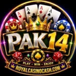 Pak14 Game